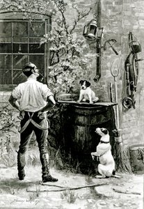 La survie du plus apte